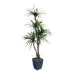 Imagen anterior del producto