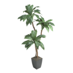 Imagen anterior del producto