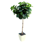 Imagen siguiente del producto