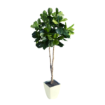 Imagen siguiente del producto