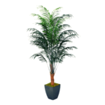 Imagen siguiente del producto